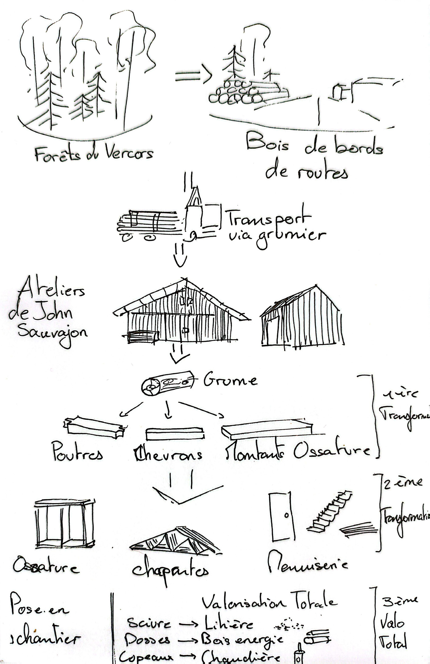 Organigramme de la pratique de John Sauvajon